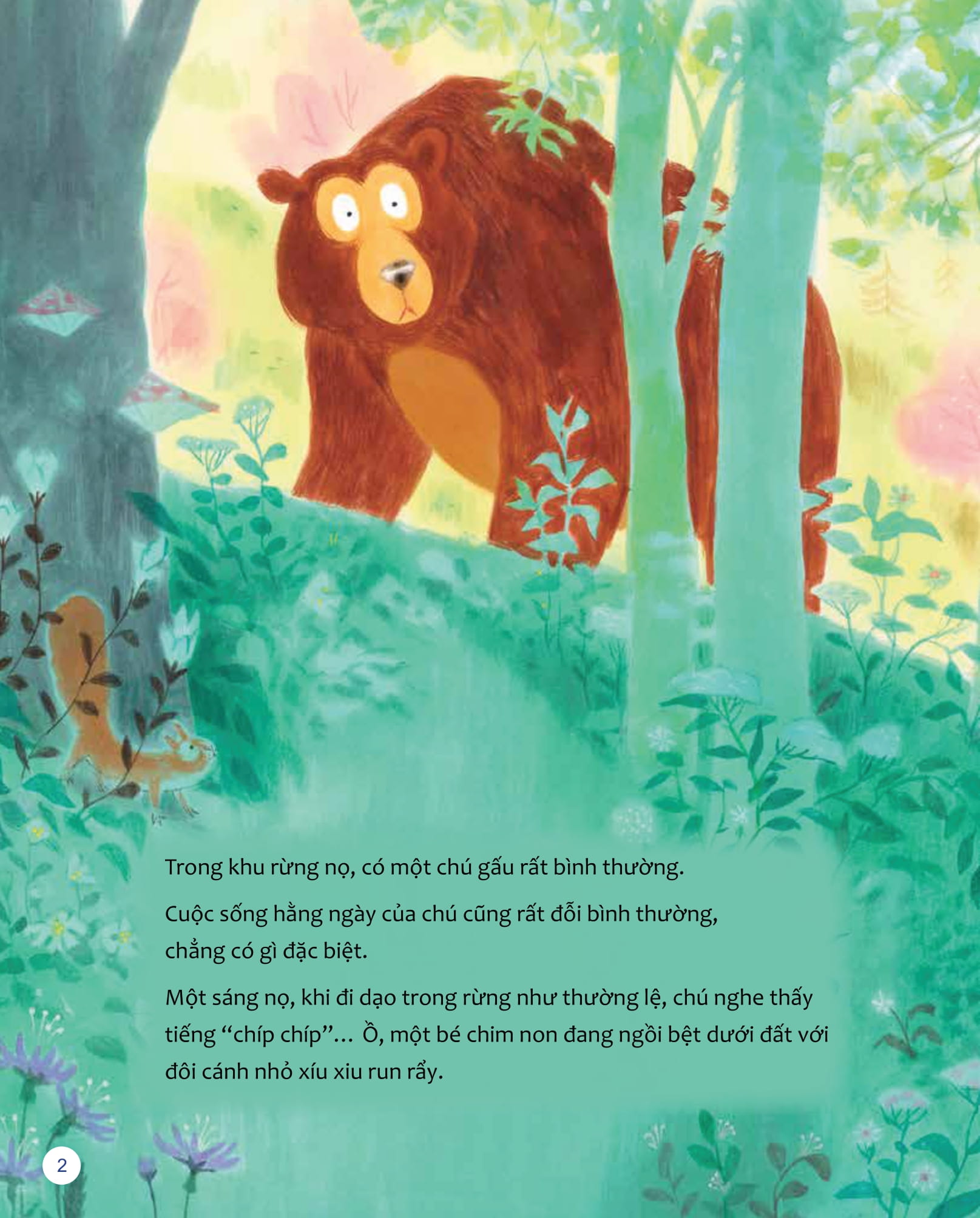 Tớ Thấy…Bạn Thấy…Những Góc Nhìn Khác - Gấu Không Thích "Bình Thường" - Ảnh 3