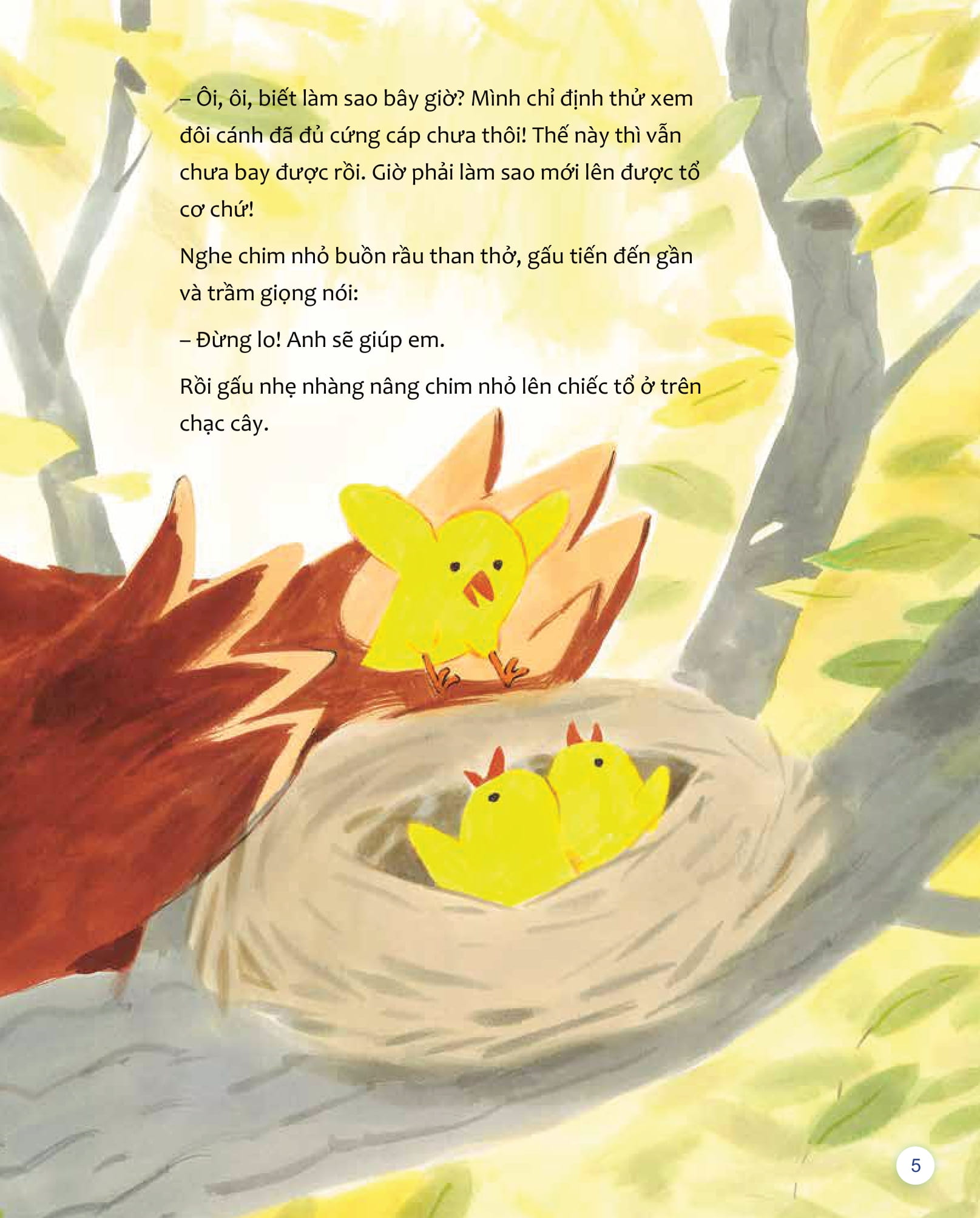 Tớ Thấy…Bạn Thấy…Những Góc Nhìn Khác - Gấu Không Thích "Bình Thường" - Ảnh 6