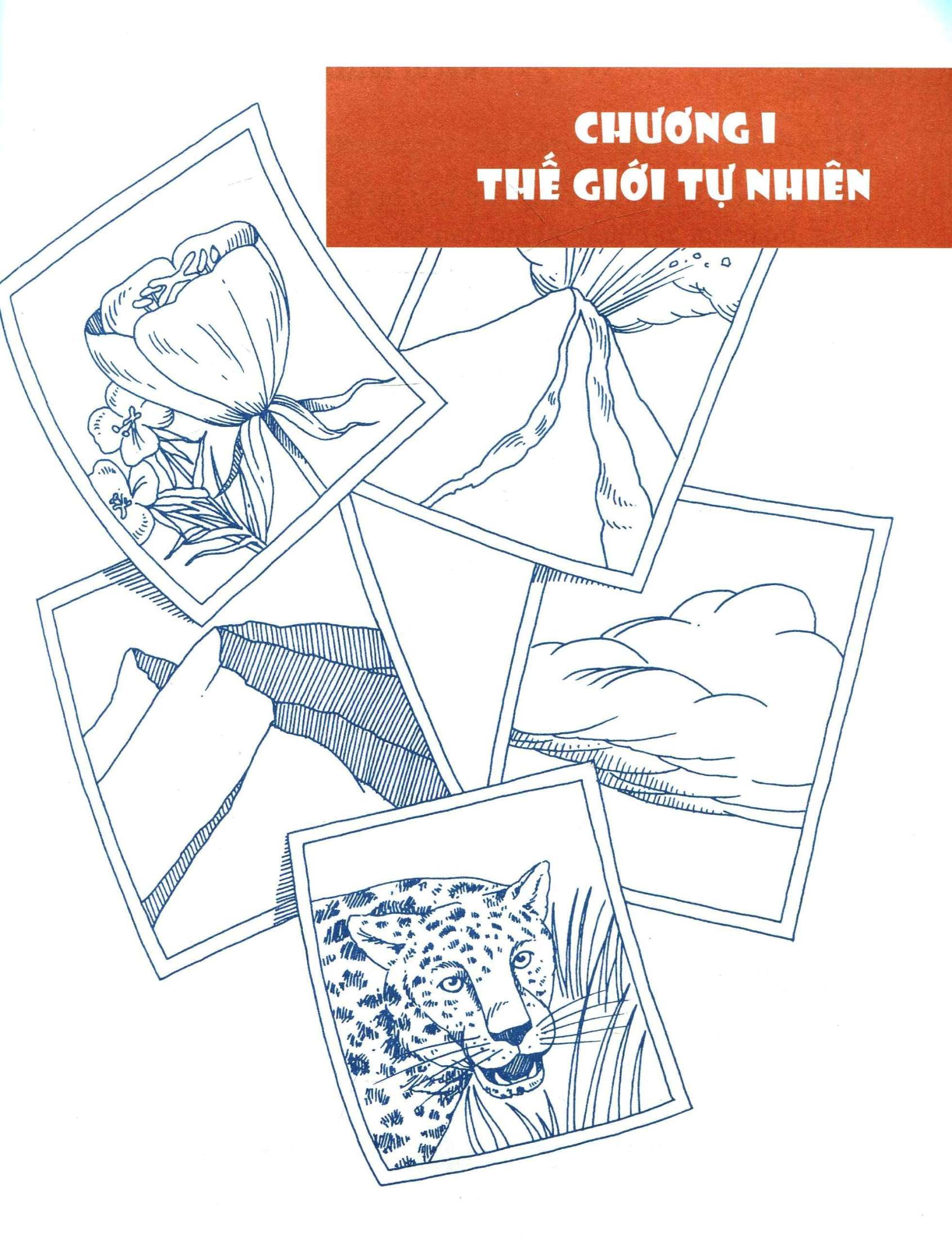 tớ tư duy như một nhà tự nhiên học - tất tần tật về tự nhiên (tái bản 2024) - Ảnh 4
