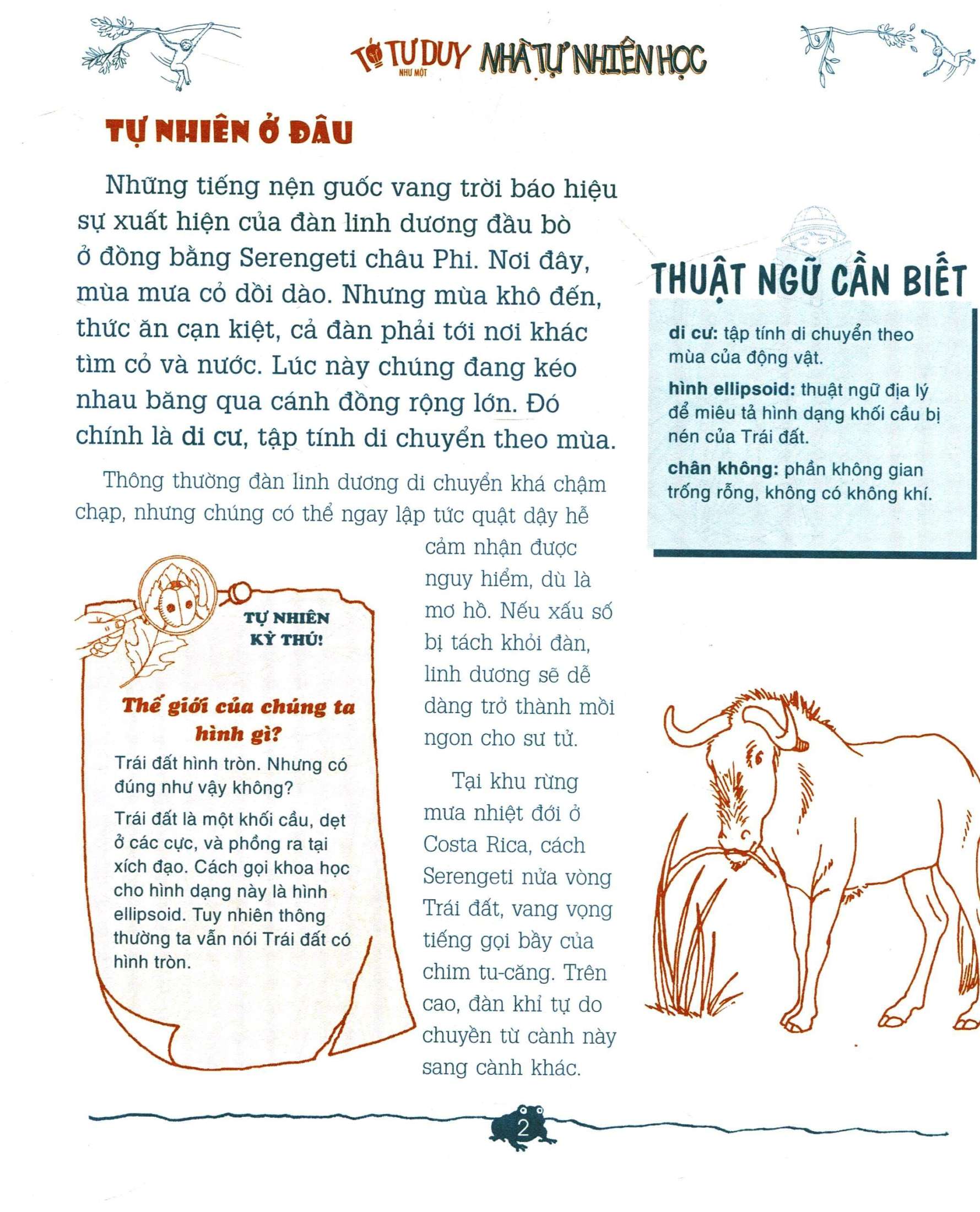 tớ tư duy như một nhà tự nhiên học - tất tần tật về tự nhiên (tái bản 2024) - Ảnh 5
