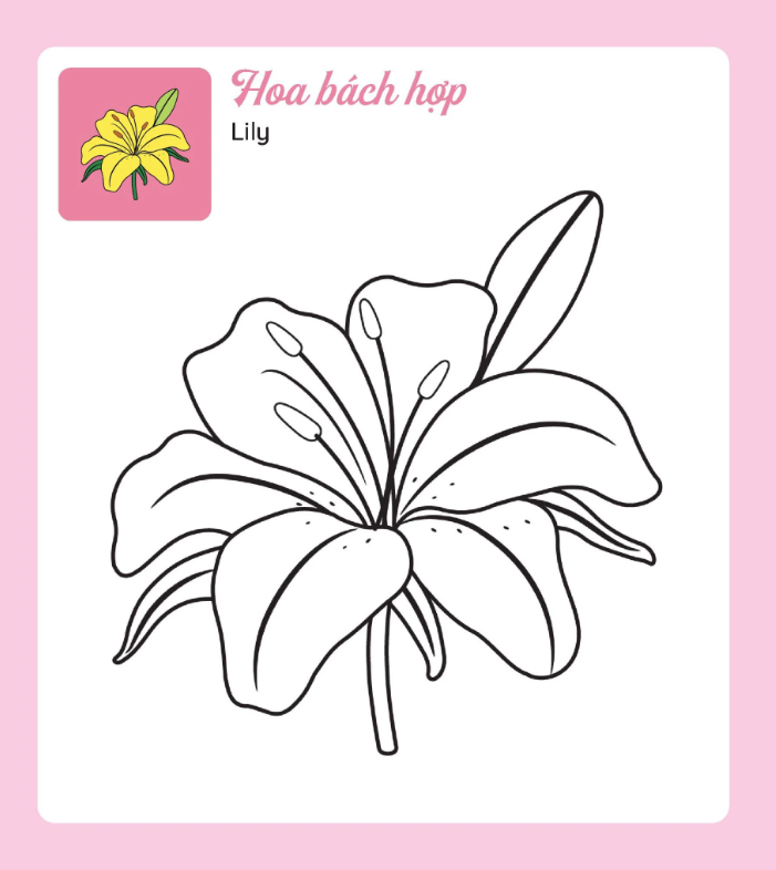 tớ tự tô - những bông hoa xinh - Ảnh 3