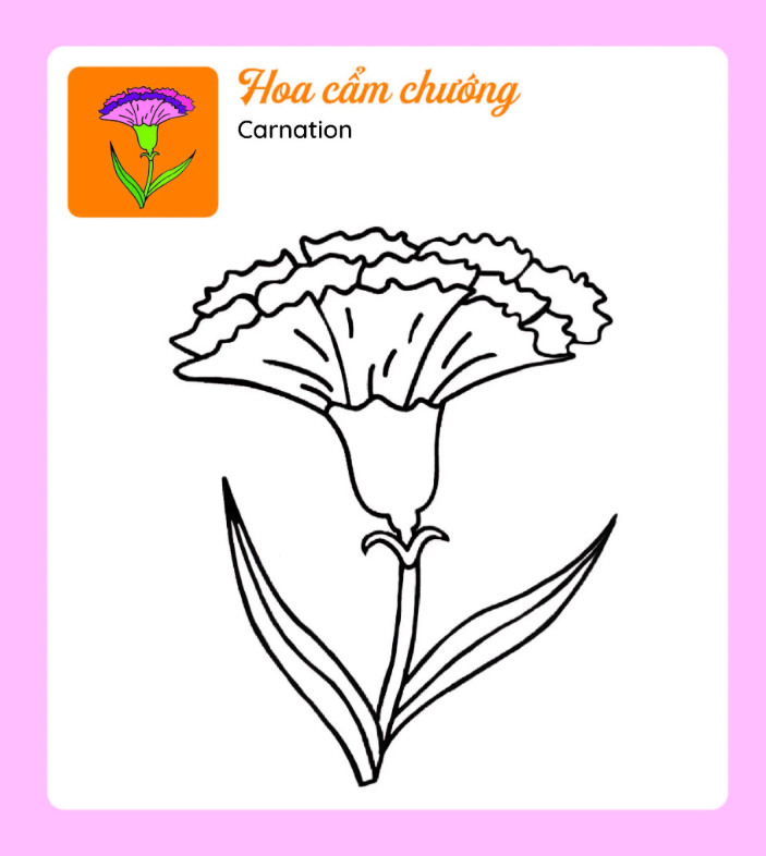 tớ tự tô - những bông hoa xinh - Ảnh 4