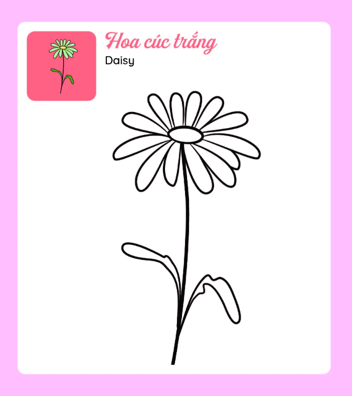 tớ tự tô - những bông hoa xinh - Ảnh 5