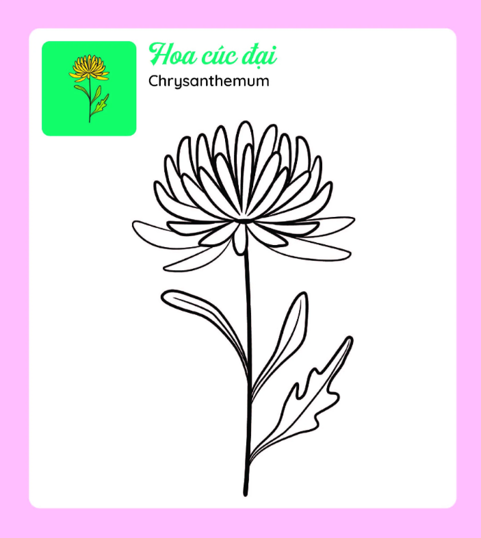 tớ tự tô - những bông hoa xinh - Ảnh 6