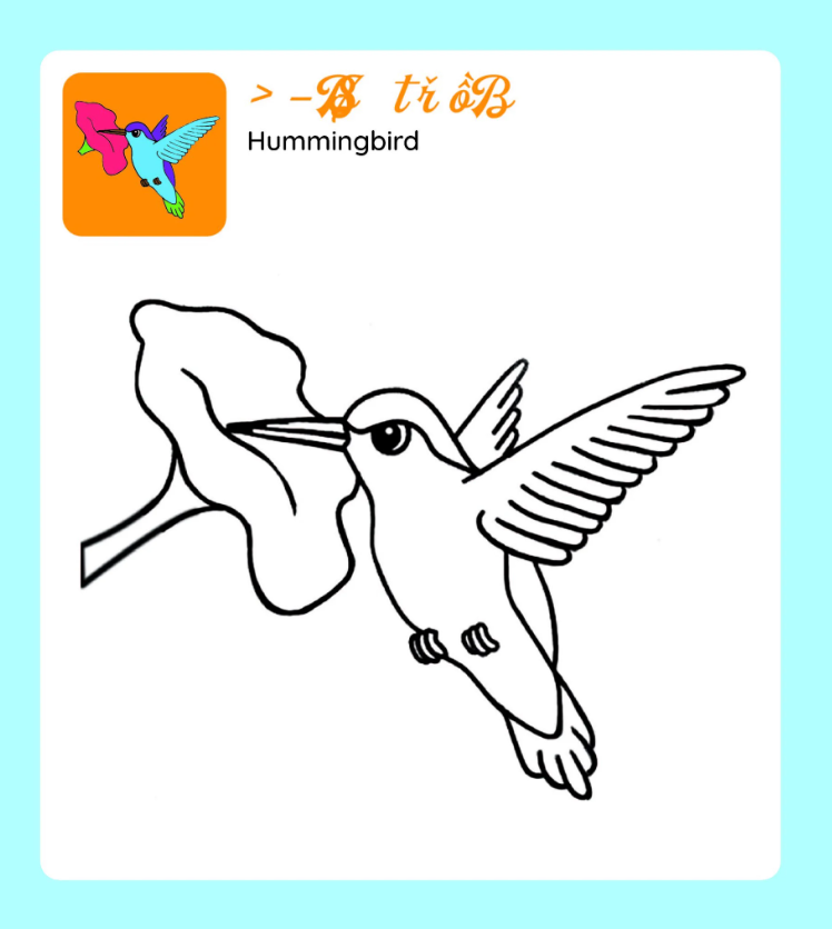 tớ tự tô - xứ sở chim muông - Ảnh 5