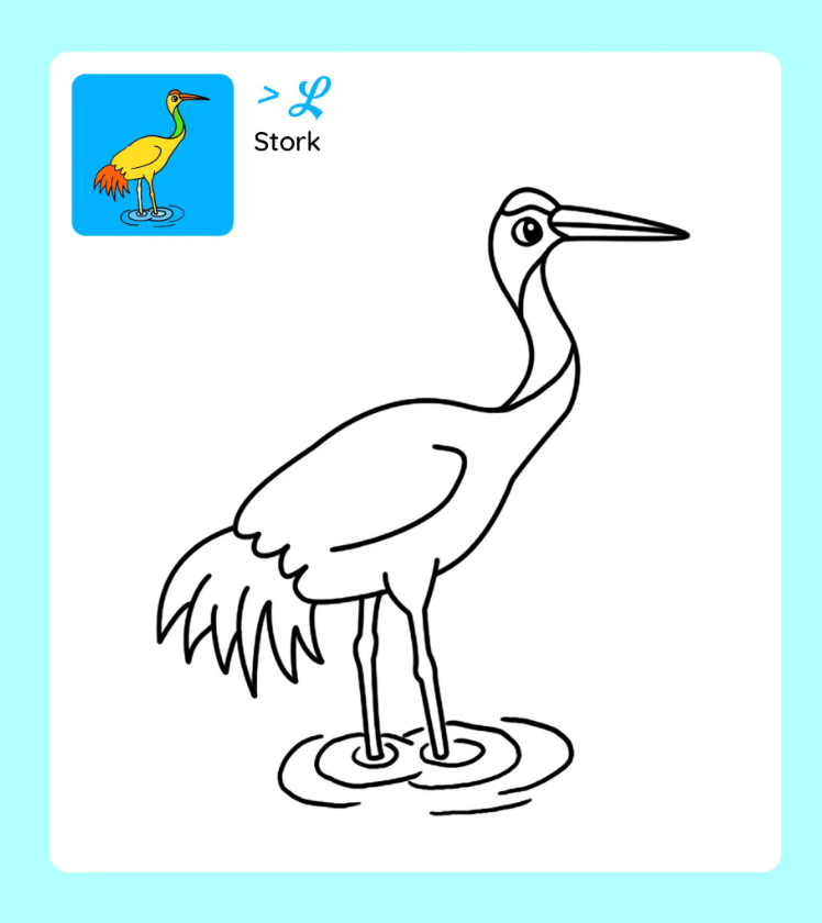 tớ tự tô - xứ sở chim muông - Ảnh 6