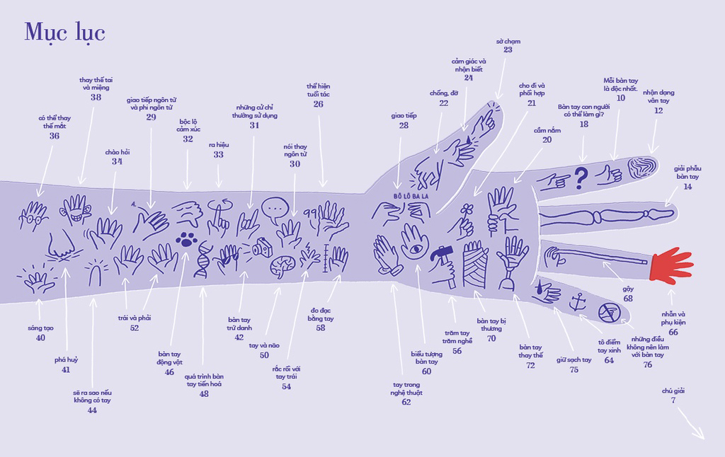 tỏ tường tay ta - bách khoa toàn thư về đôi tay - Ảnh 4
