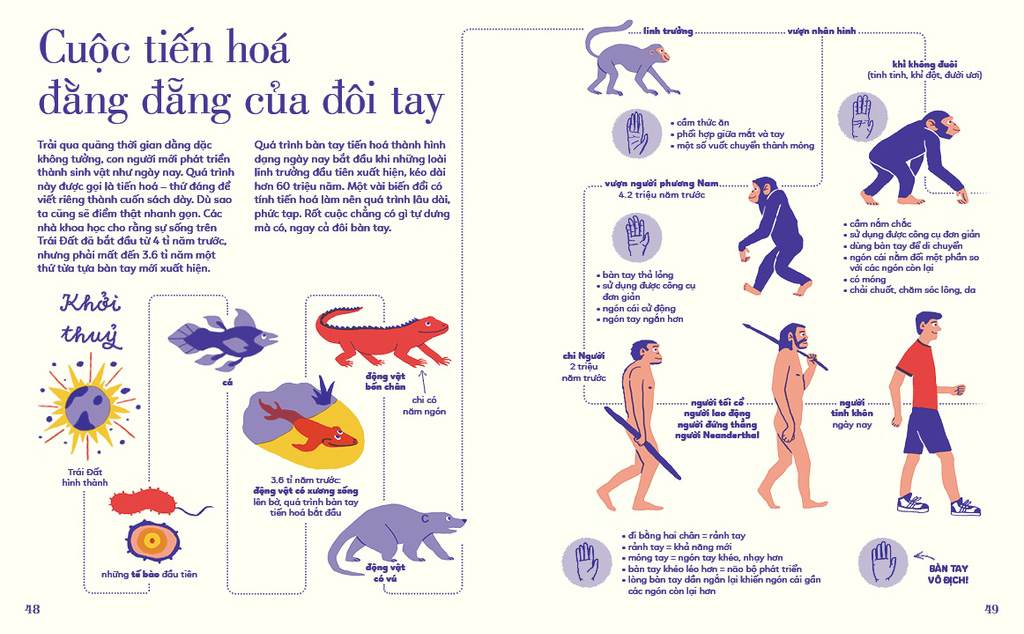 tỏ tường tay ta - bách khoa toàn thư về đôi tay - Ảnh 8