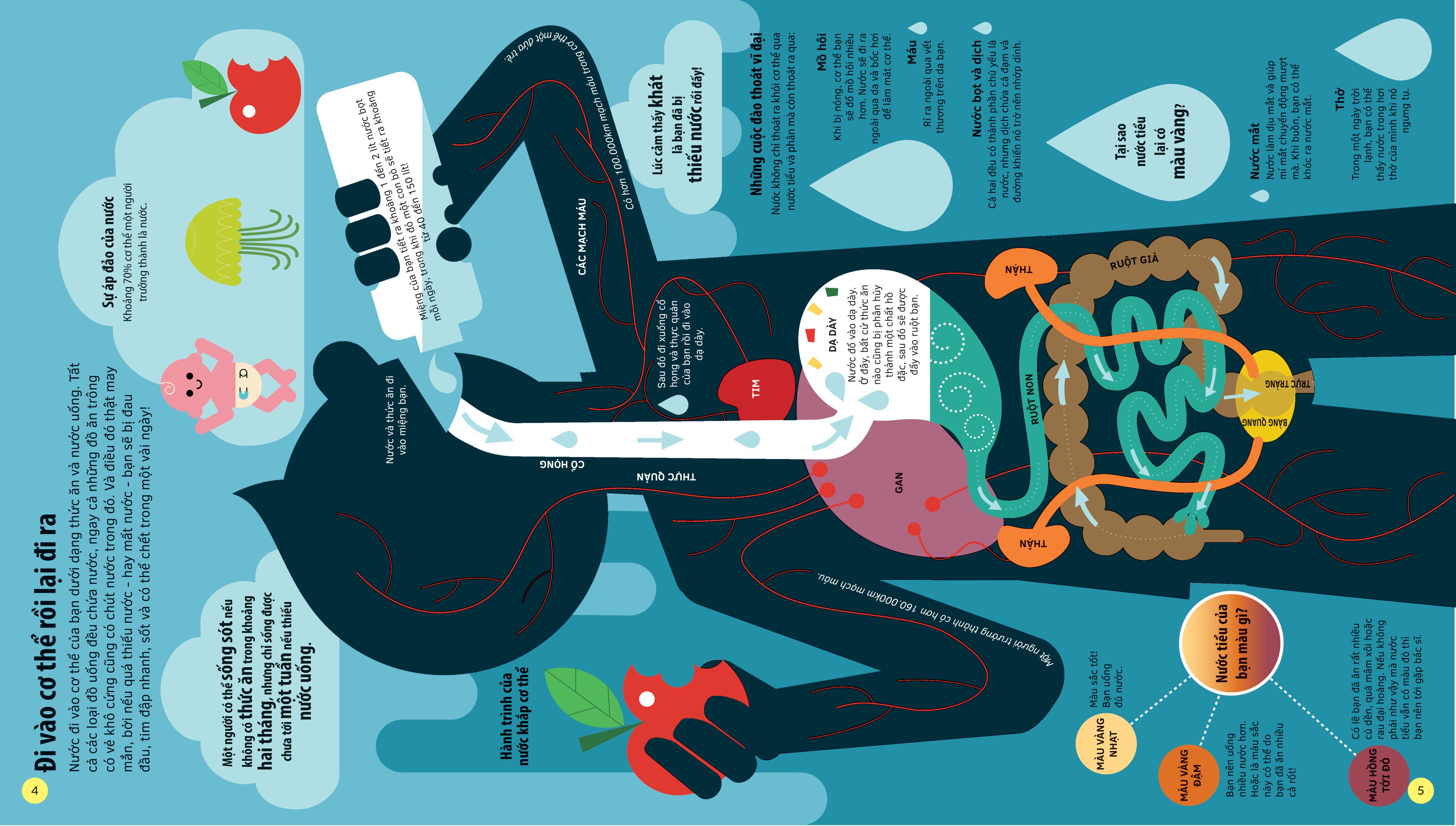 tớ yêu khoa học - the adventure of water - chuyến phiêu lưu của nước - Ảnh 4