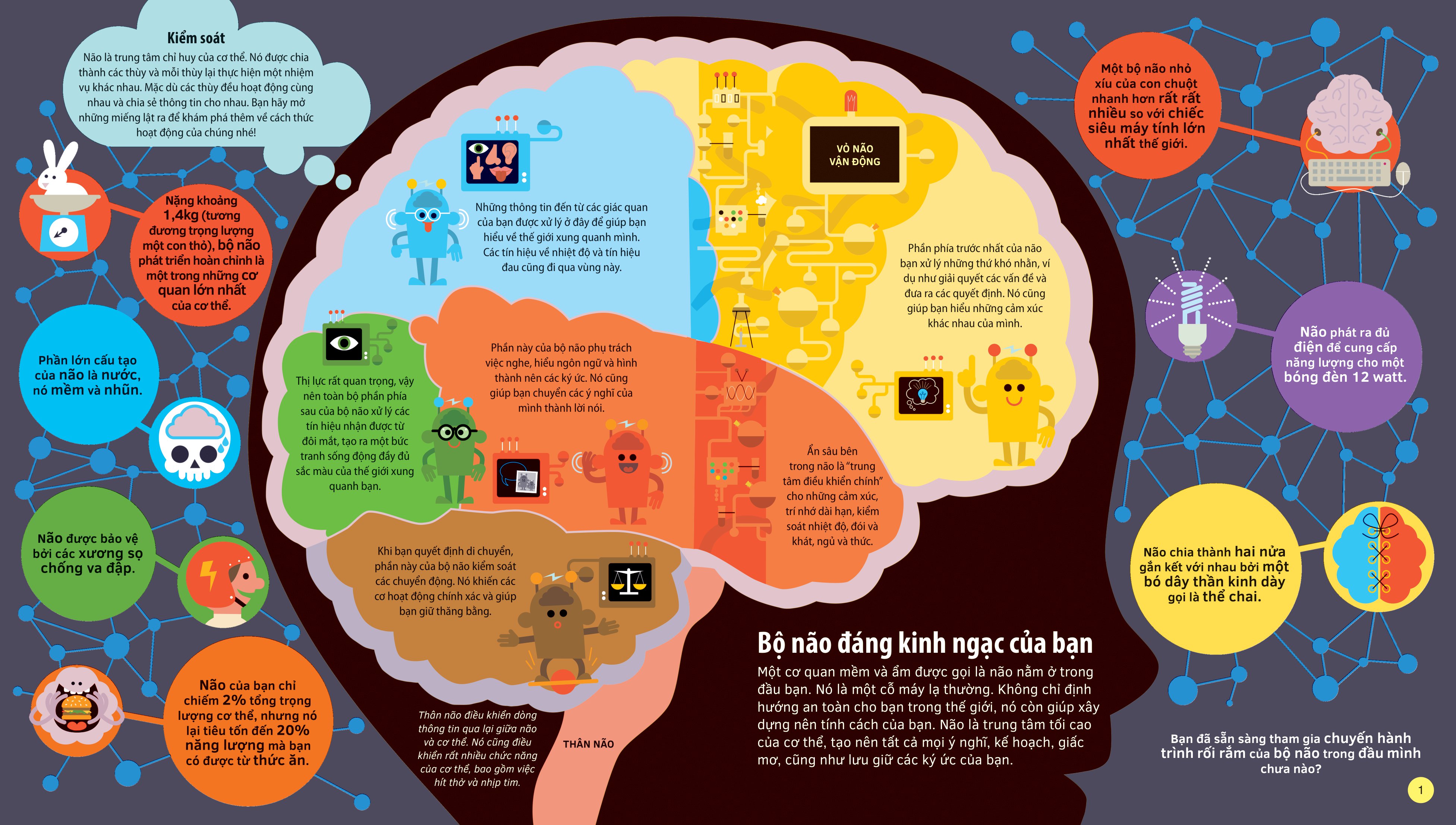 tớ yêu khoa học - the adventure of your brain - chuyến phiêu lưu của bộ não - bìa cứng - Ảnh 2