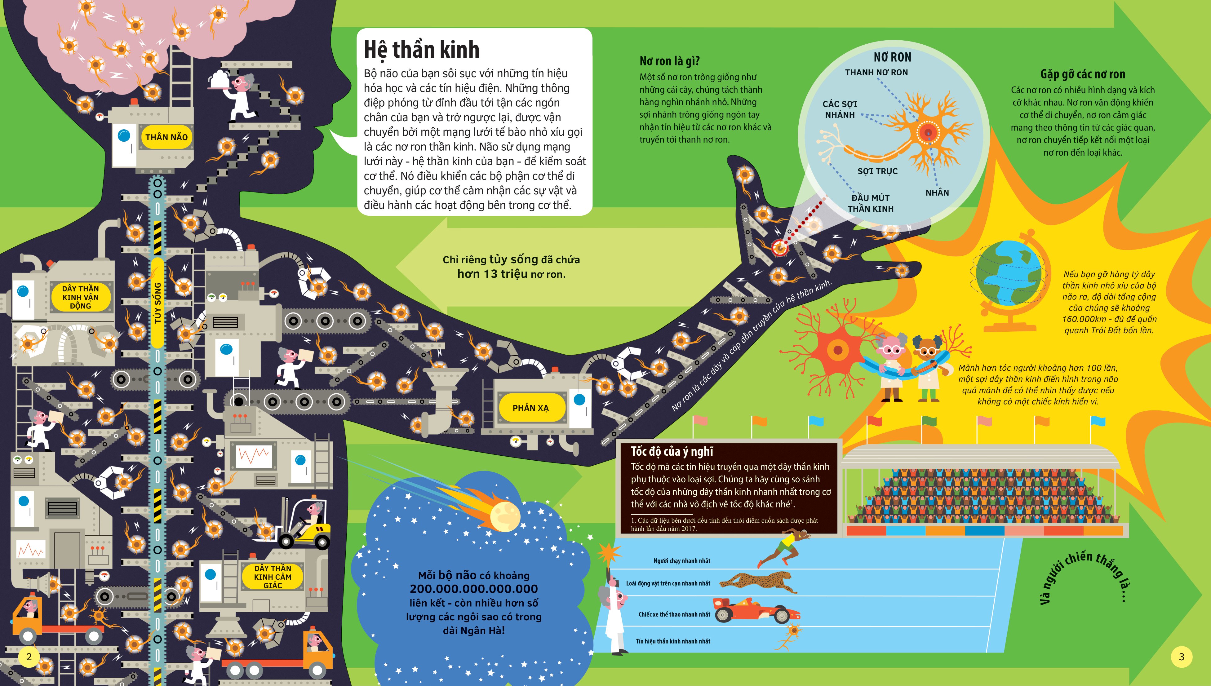 tớ yêu khoa học - the adventure of your brain - chuyến phiêu lưu của bộ não - bìa cứng - Ảnh 3