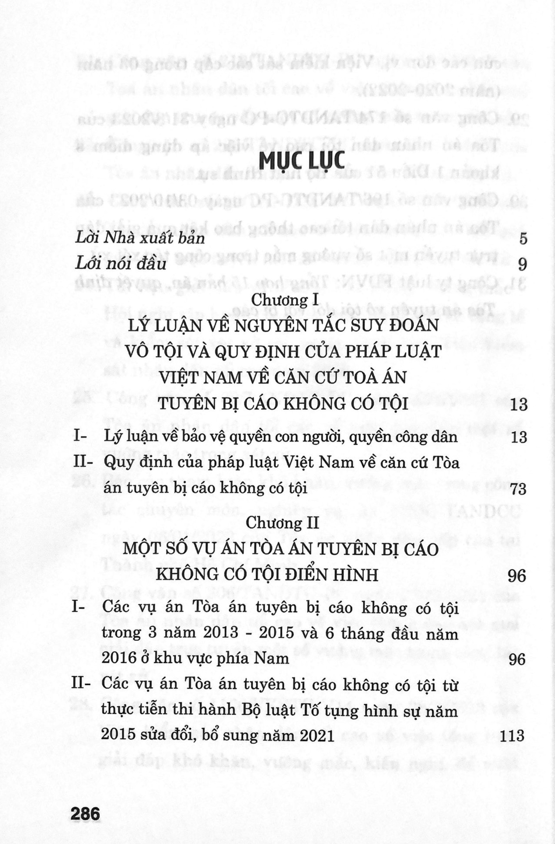 tòa tuyên án bị cáo không có tội - Ảnh 3