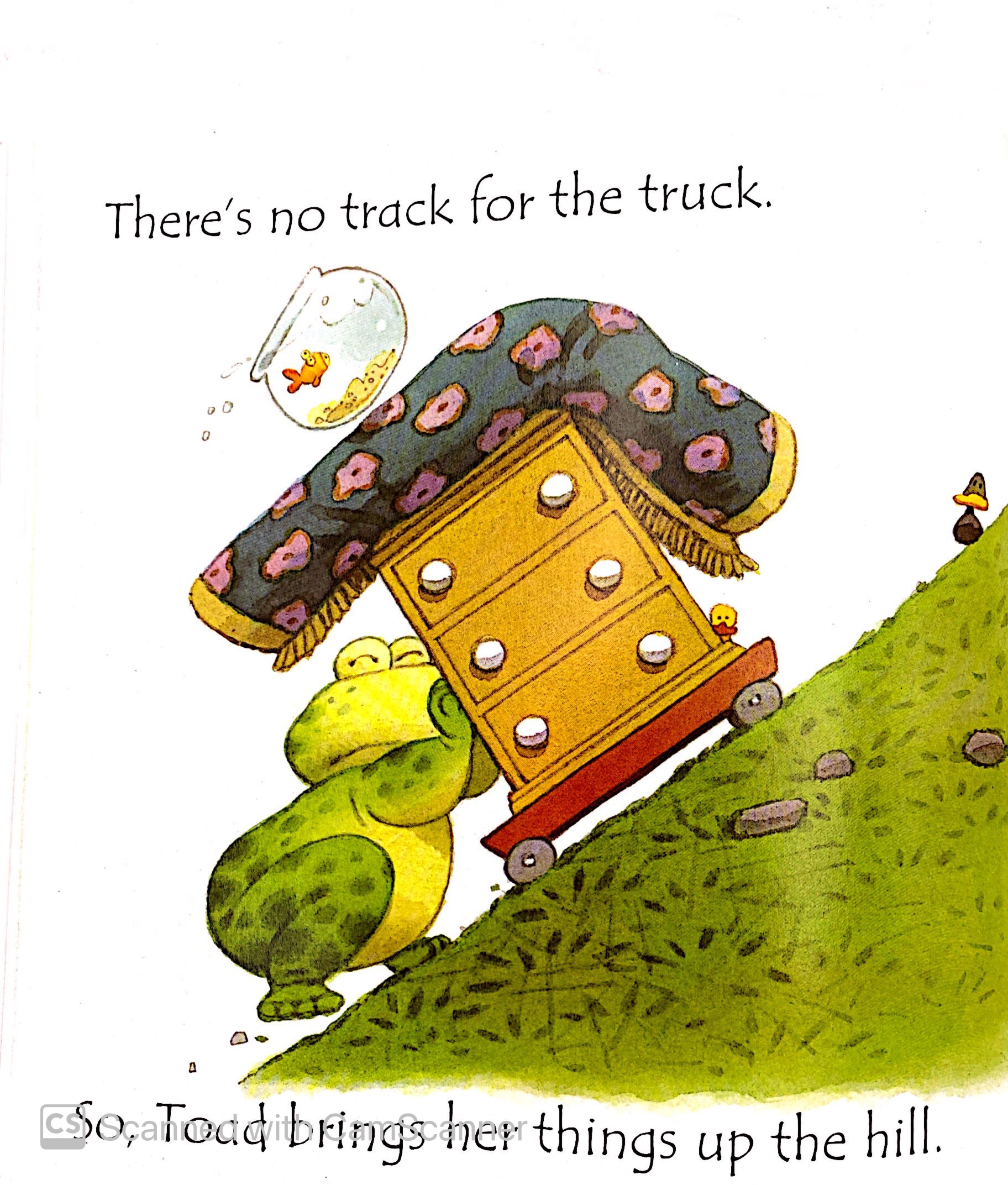 toad makes a road - Ảnh 10