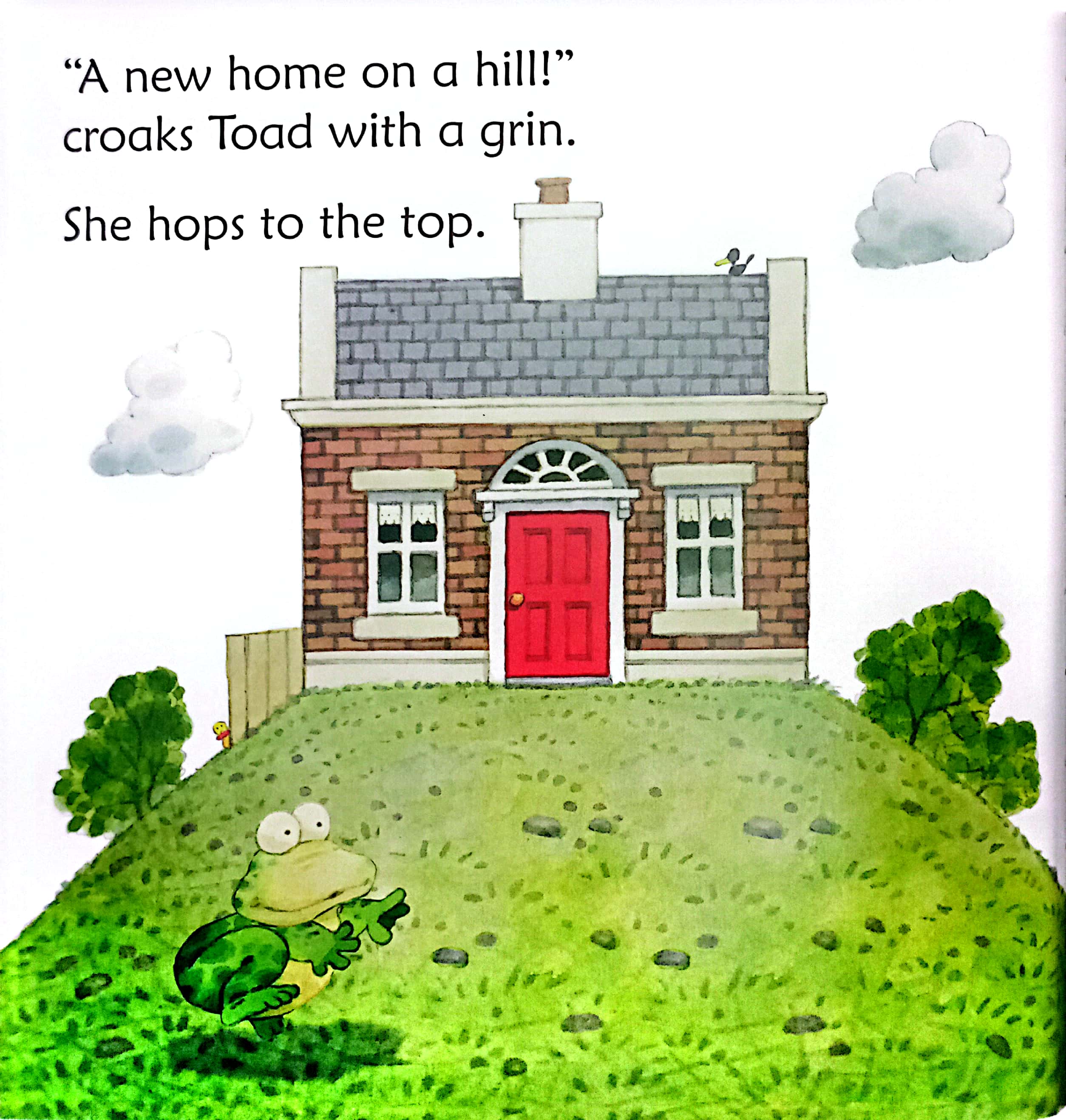 toad makes a road - Ảnh 3