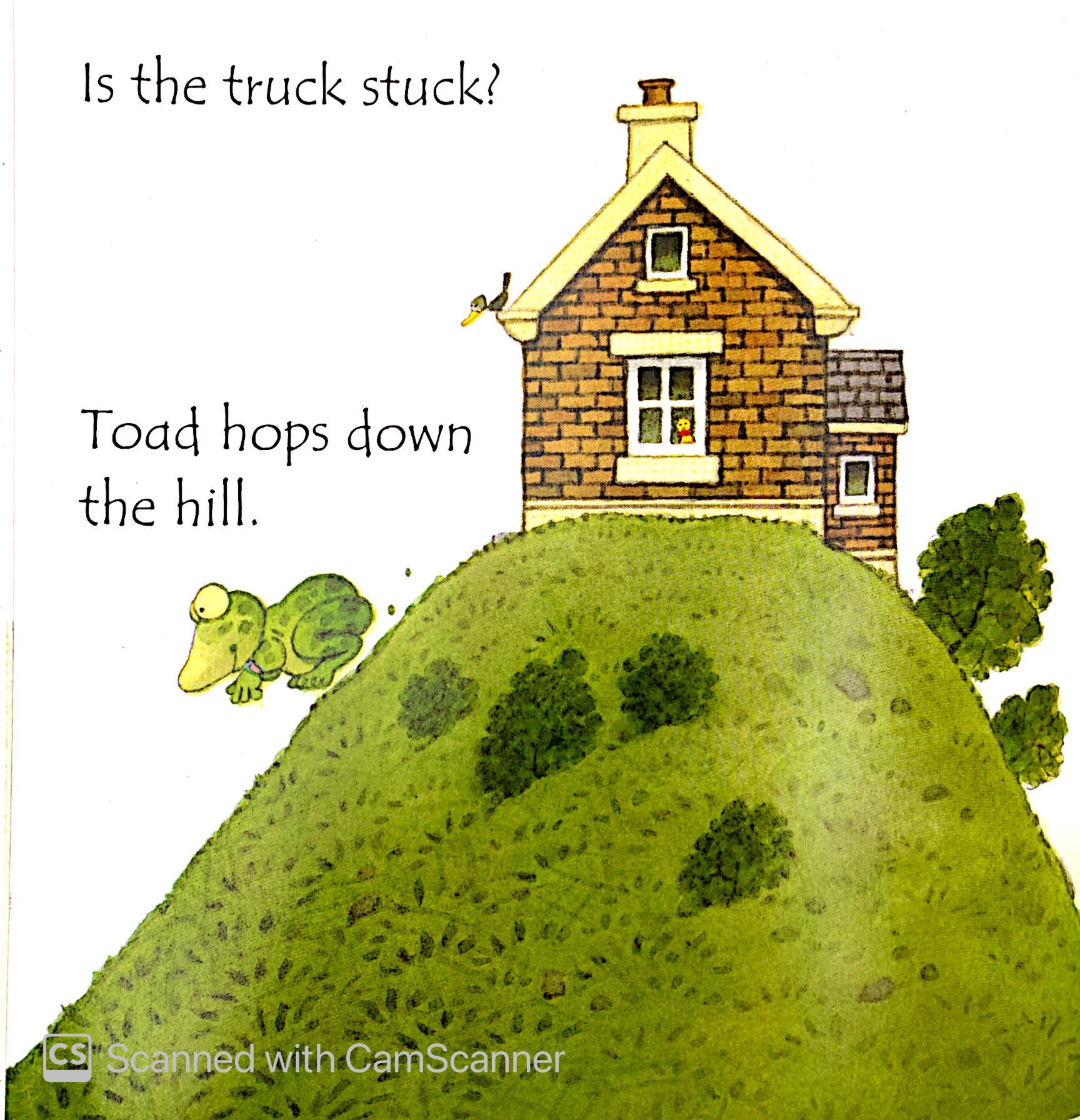 toad makes a road - Ảnh 8