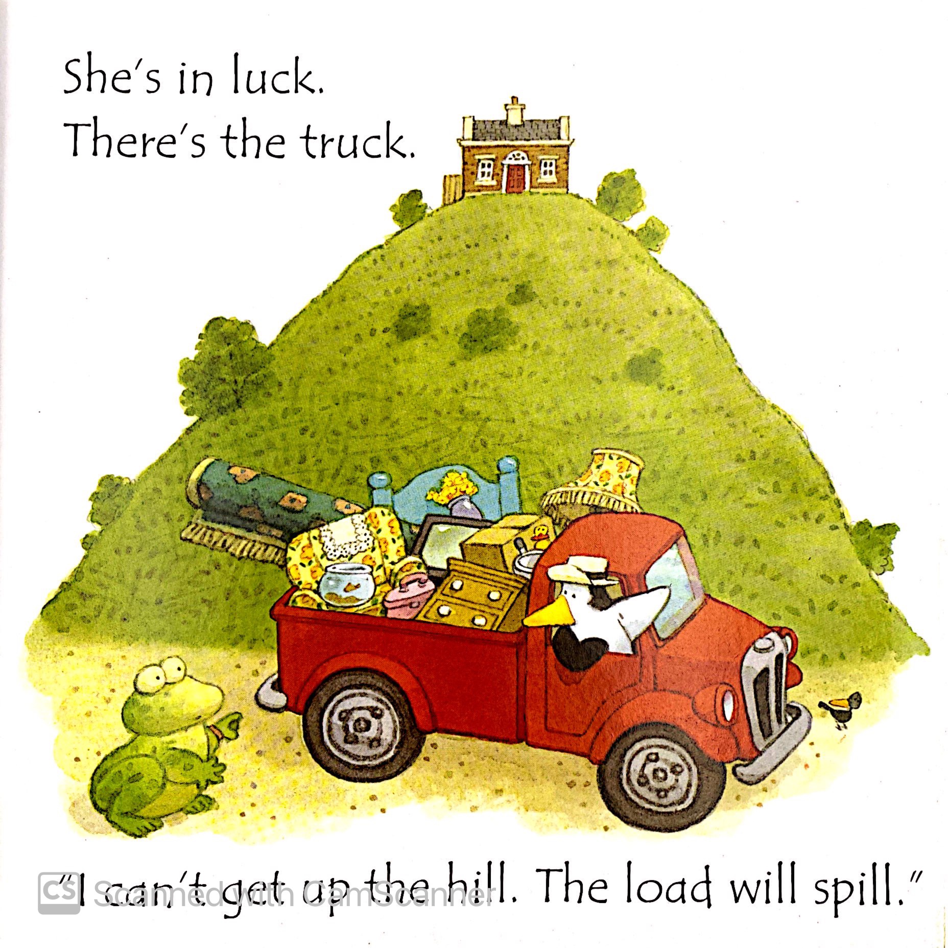 toad makes a road - Ảnh 9