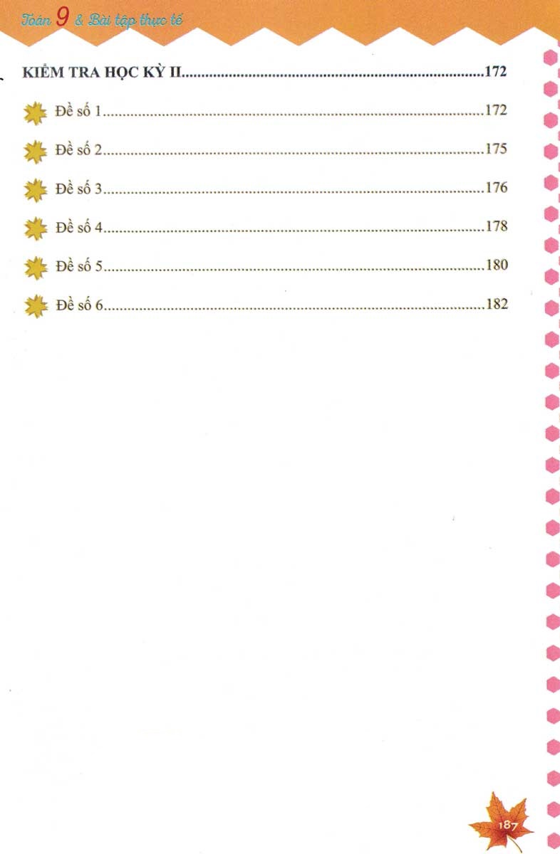 toán 9 và bài toán thực tế - Ảnh 7