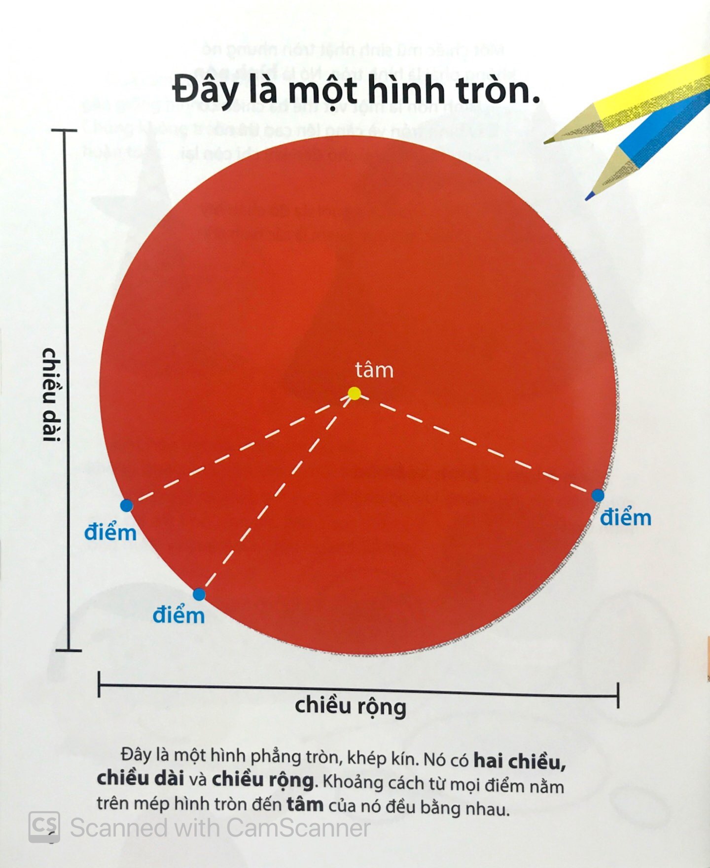 toán học vui nhộn - hình tròn đáng yêu - Ảnh 6