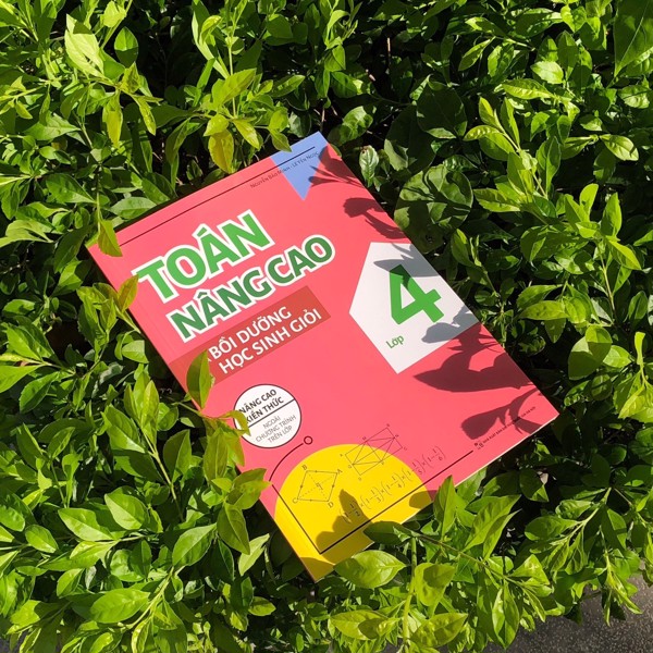 toán nâng cao và bồi dưỡng học sinh giỏi lớp 4 - Ảnh 2