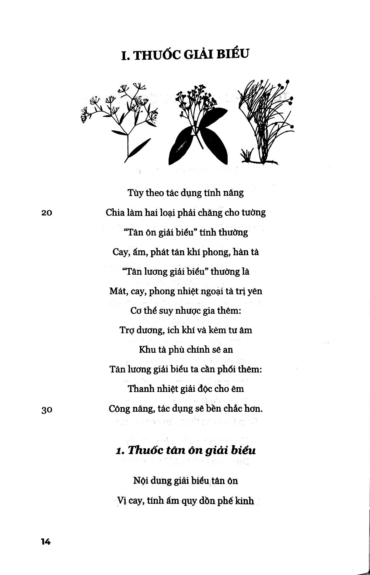 toát yếu đông dược diễn ca - Ảnh 8