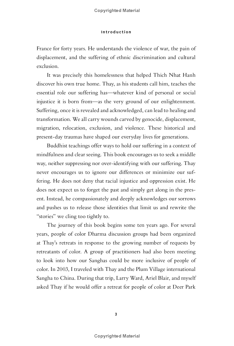 together we are one : honoring our diversity, celebrating our connection - Ảnh 10