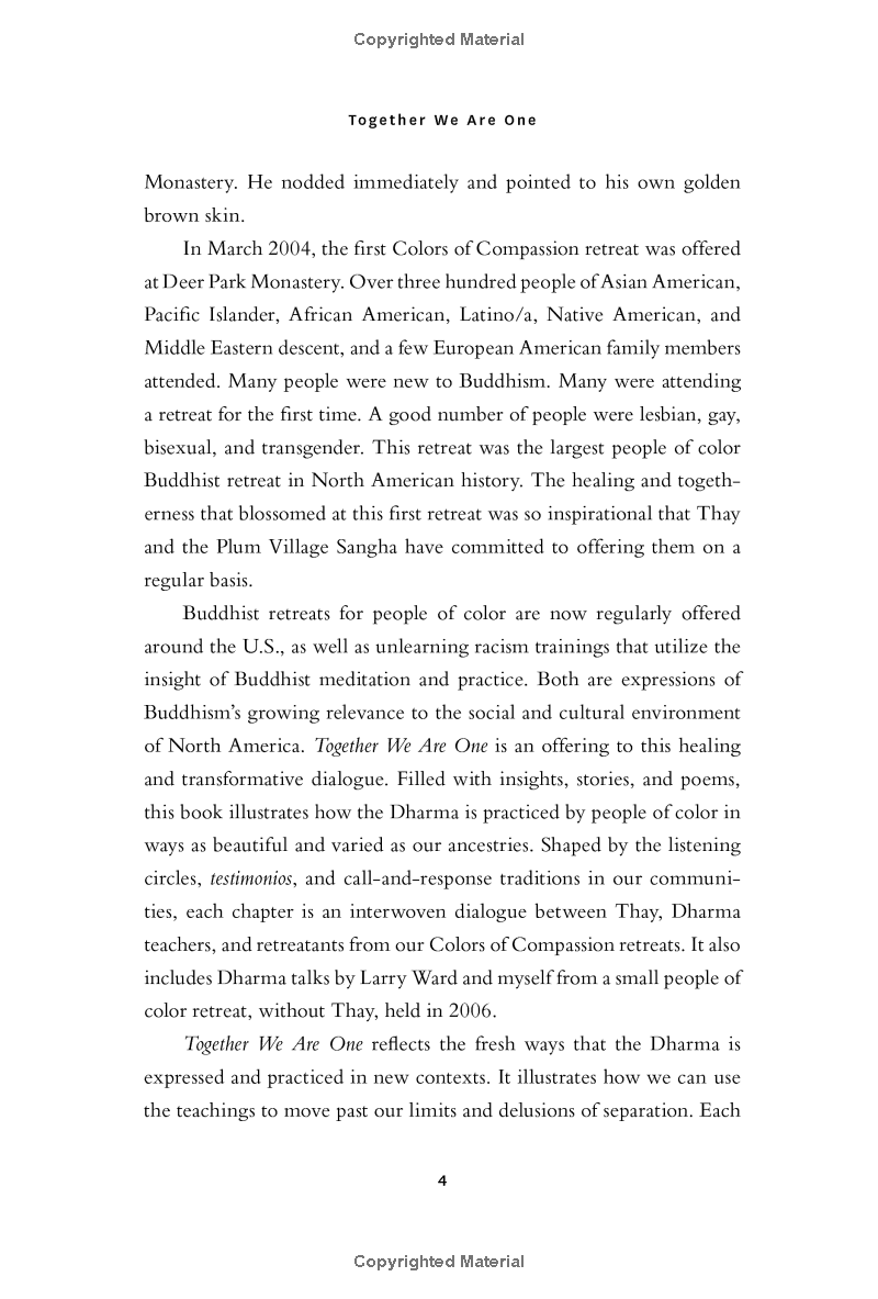 together we are one : honoring our diversity, celebrating our connection - Ảnh 11