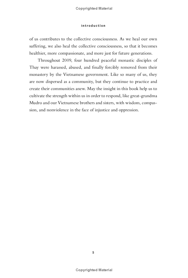 together we are one : honoring our diversity, celebrating our connection - Ảnh 12
