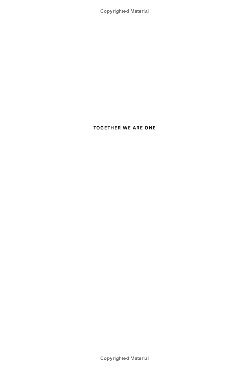 together we are one : honoring our diversity, celebrating our connection - Ảnh 4