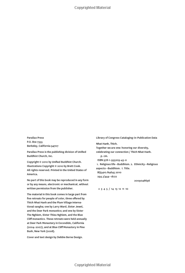 together we are one : honoring our diversity, celebrating our connection - Ảnh 5