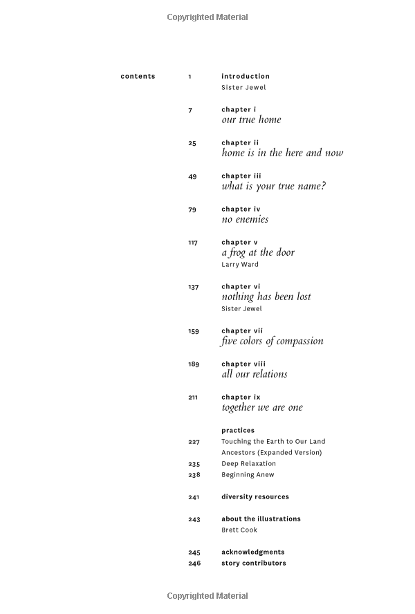 together we are one : honoring our diversity, celebrating our connection - Ảnh 6