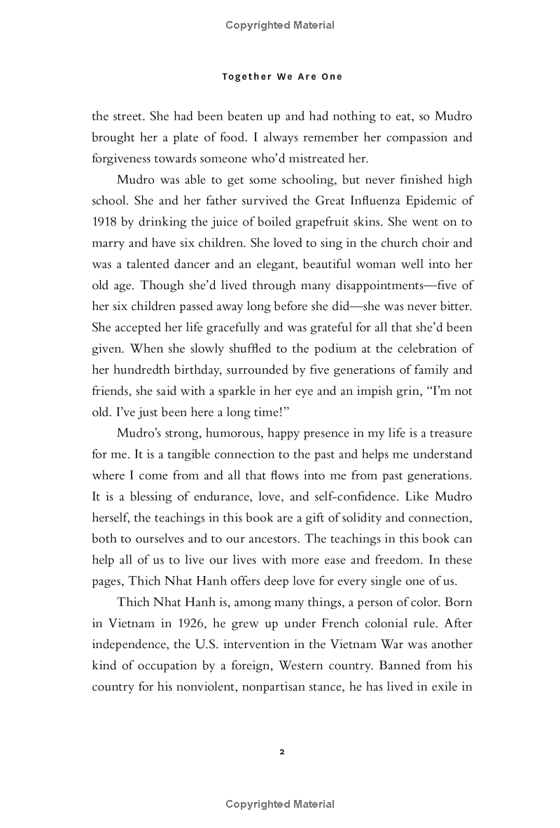 together we are one : honoring our diversity, celebrating our connection - Ảnh 9