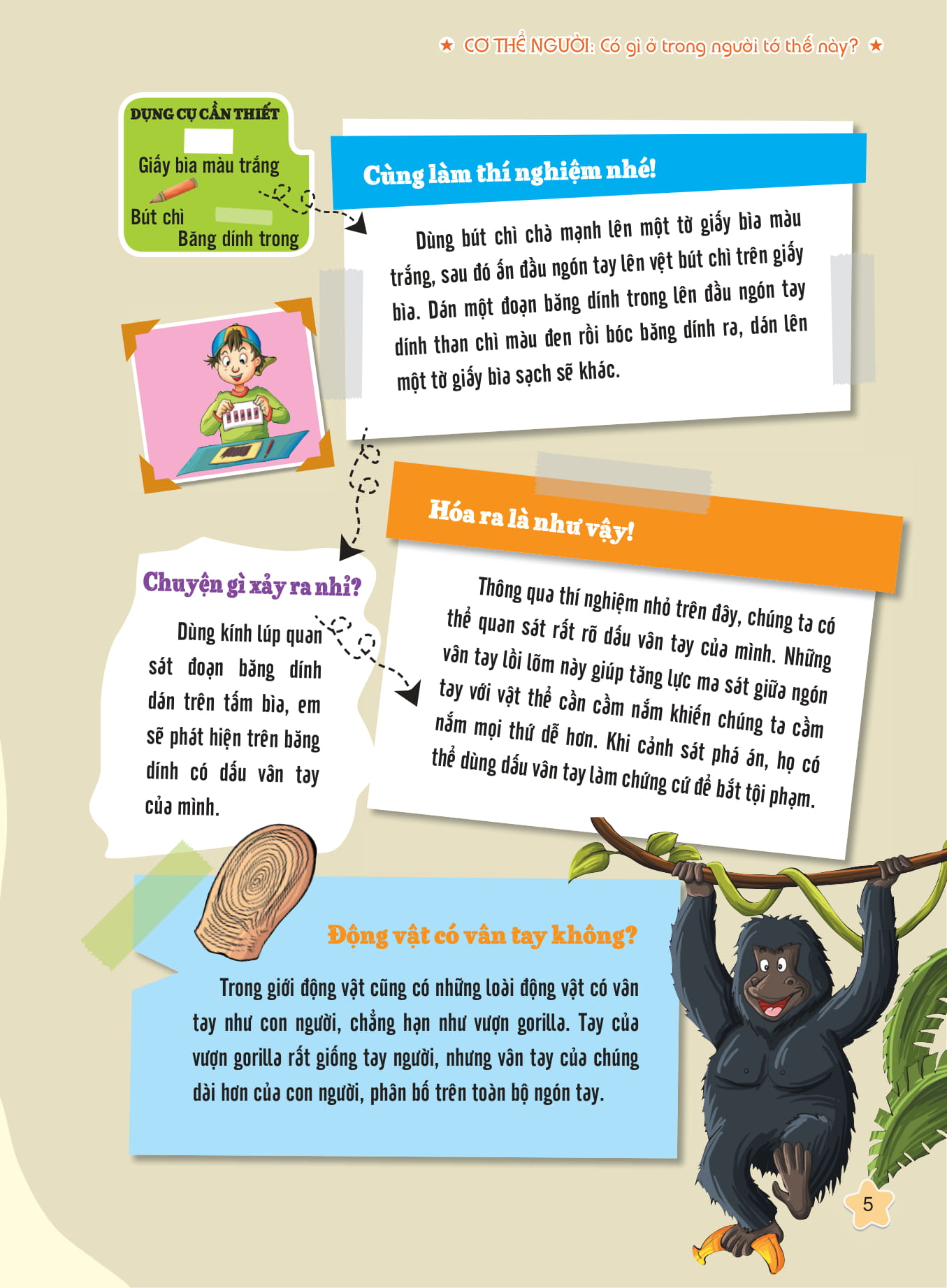 tôi biết bạn biết không - cơ thể người - có gì trong người tớ thế này - Ảnh 2