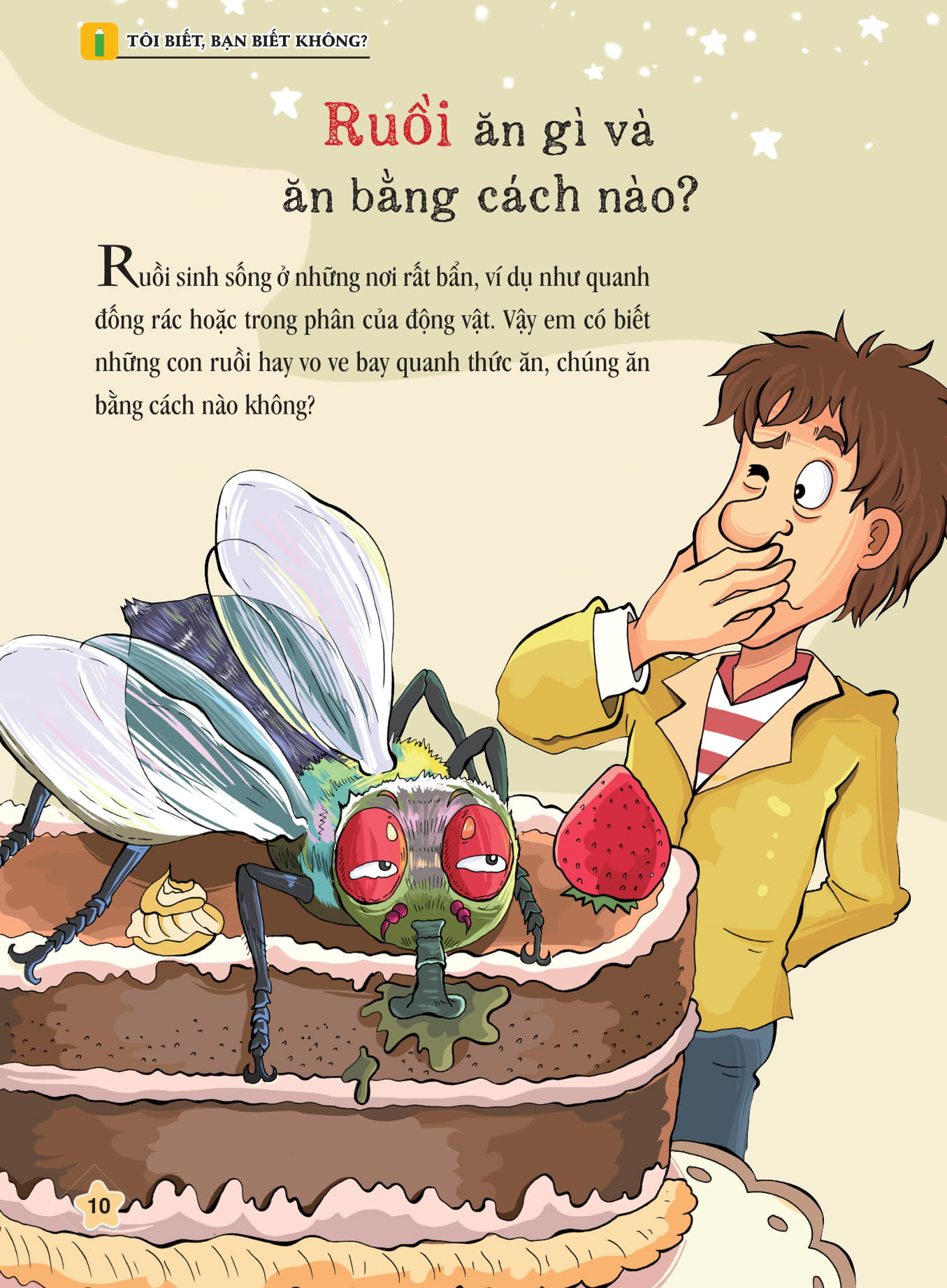 tôi biết bạn biết không - côn trùng - kính lúp siêu biết tuốt - Ảnh 2