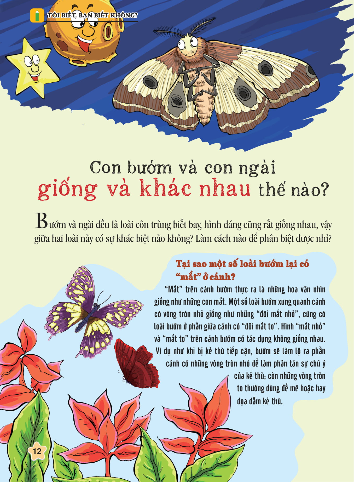 tôi biết bạn biết không - côn trùng - kính lúp siêu biết tuốt - Ảnh 4