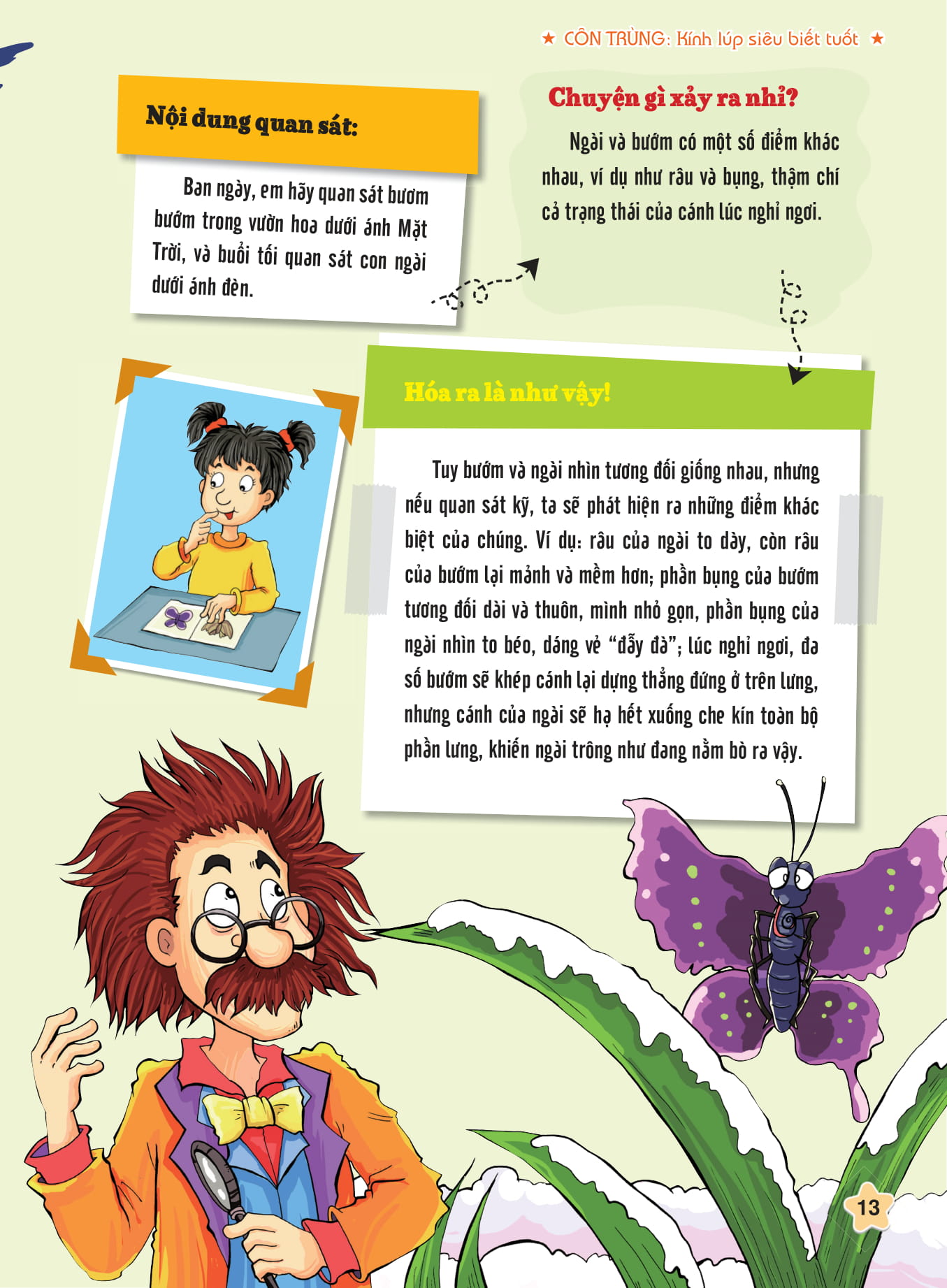 tôi biết bạn biết không - côn trùng - kính lúp siêu biết tuốt - Ảnh 5