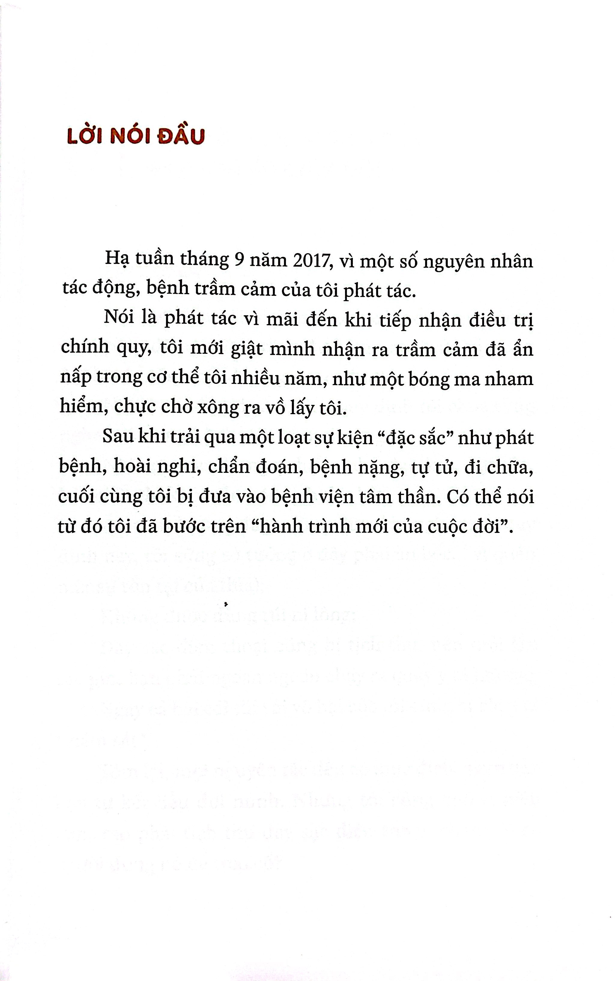 Tôi Chống Lại Trầm Cảm Ở Bệnh Viện Tâm Thần - Ảnh 5