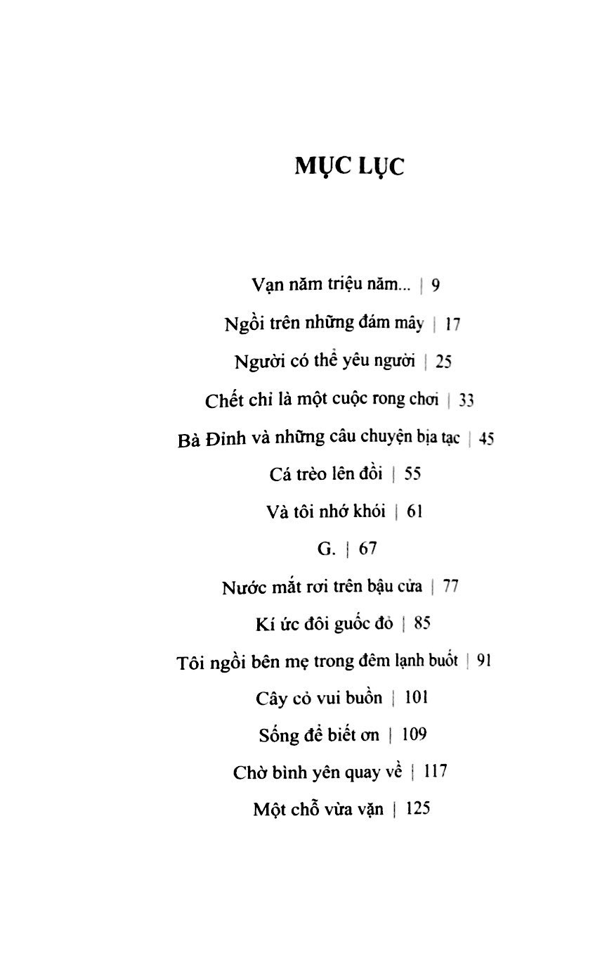 tôi đã trở về trên núi cao - Ảnh 2