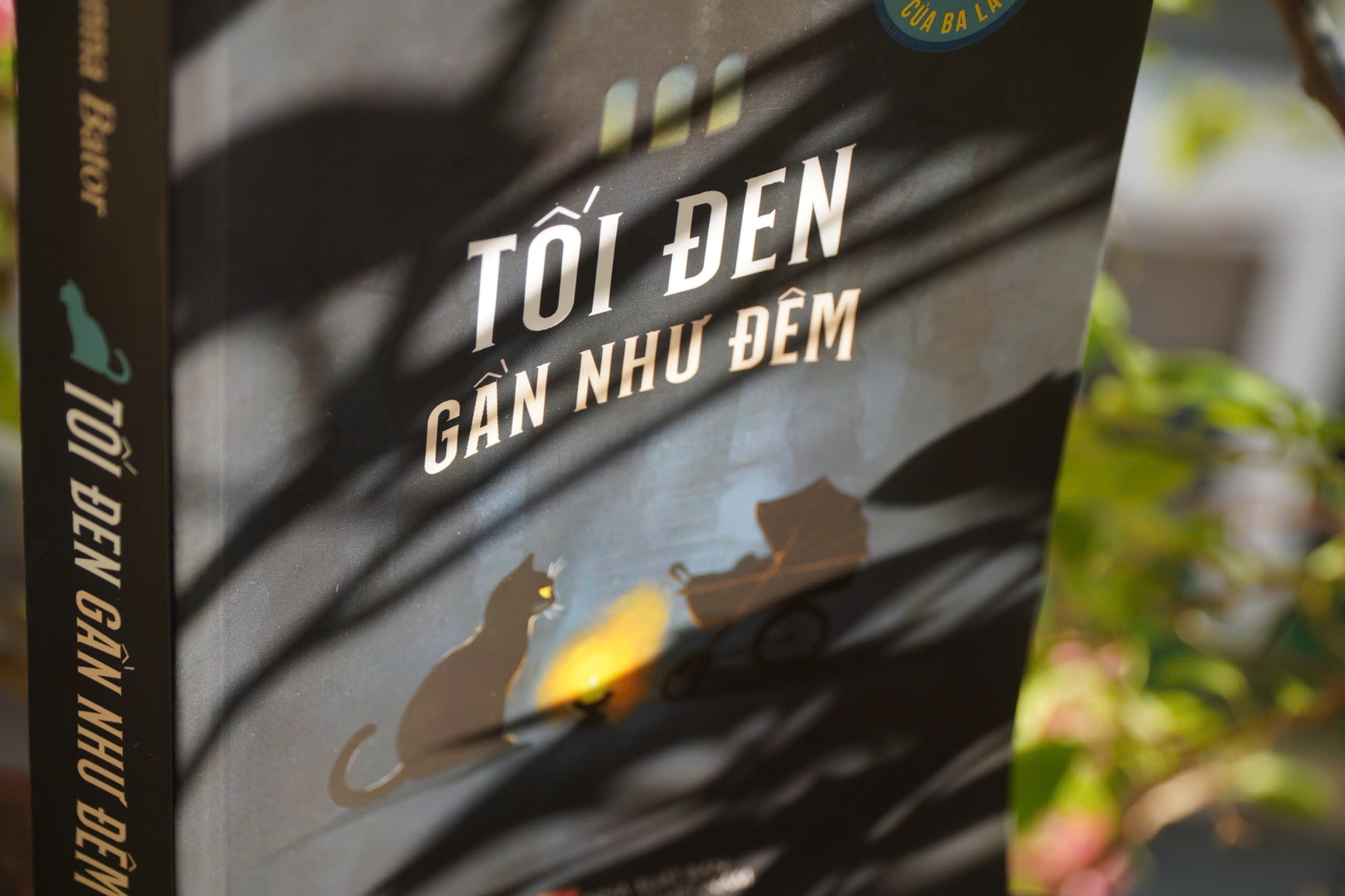 Tối Đen Gần Như Đêm - Ảnh 3