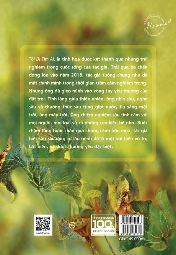 tôi đi tìm ai - Ảnh 2