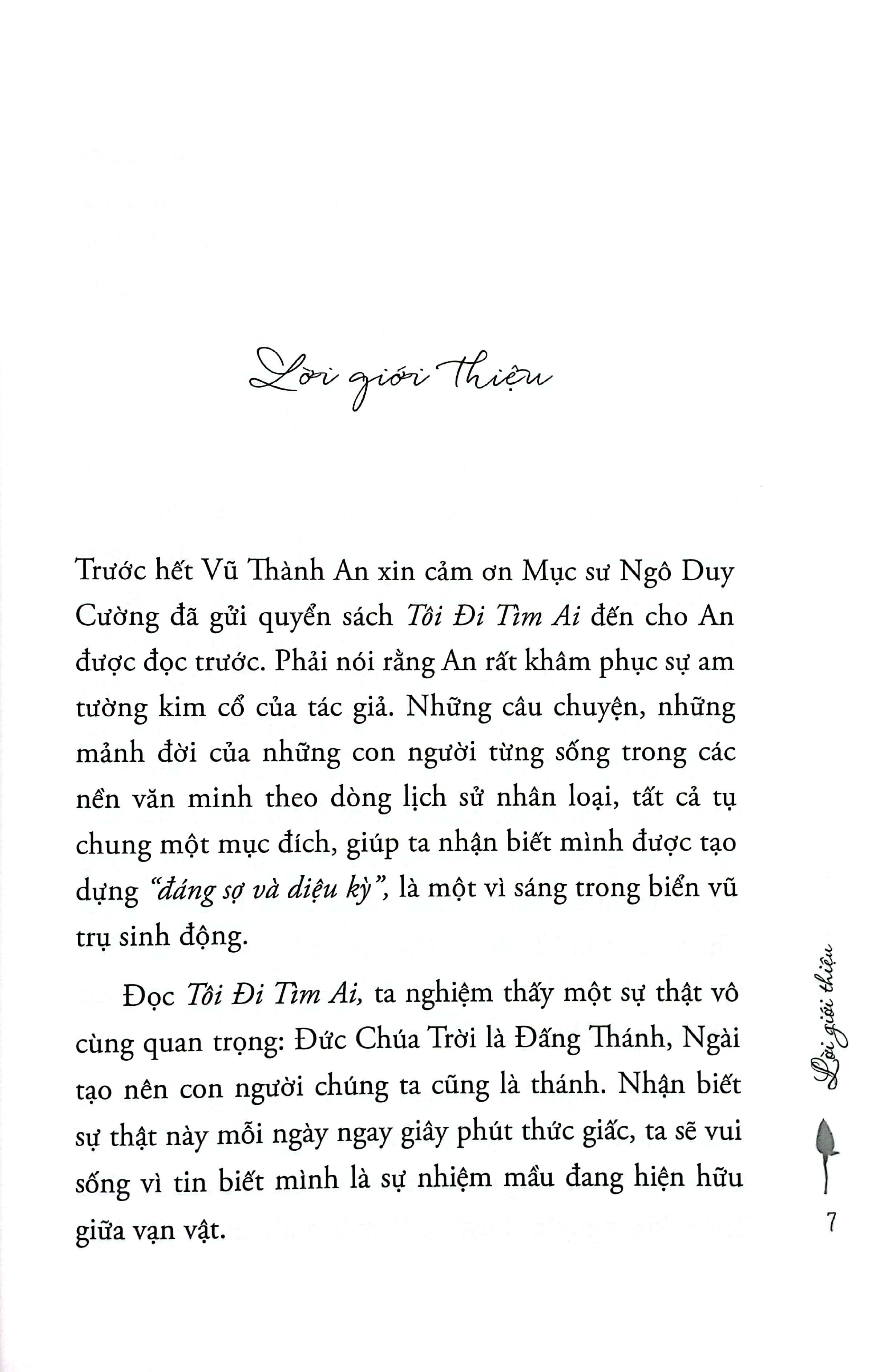 tôi đi tìm ai - Ảnh 5