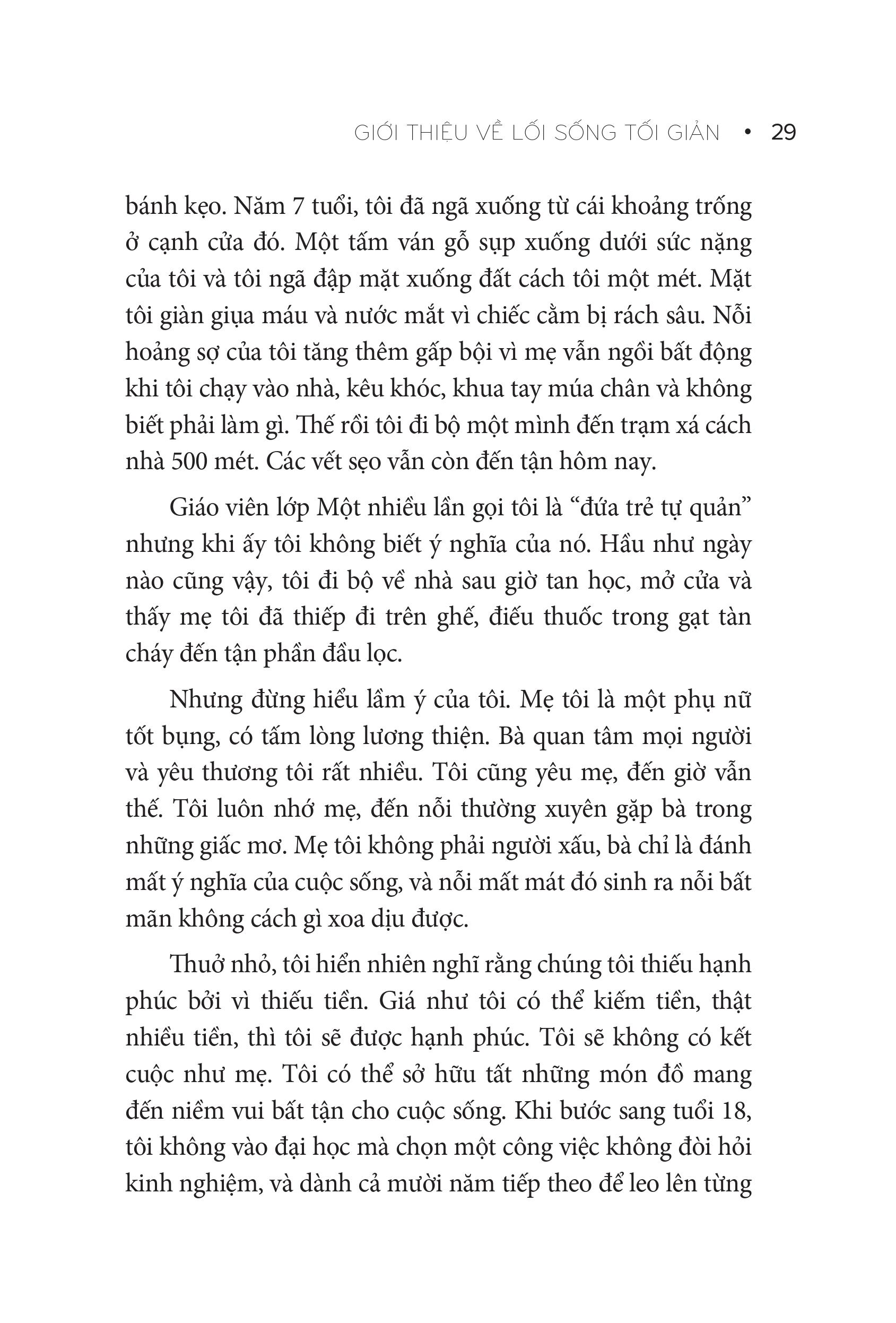 tối giản lối sống tối ưu cuộc đời - 7 trụ cột của cuộc sống hạnh phúc và ý nghĩa - Ảnh 14