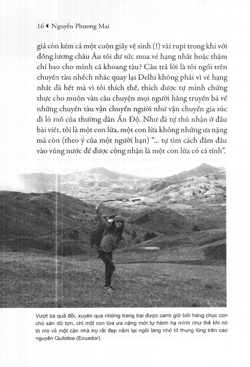 tôi là một con lừa (tái bản 2023) - Ảnh 6