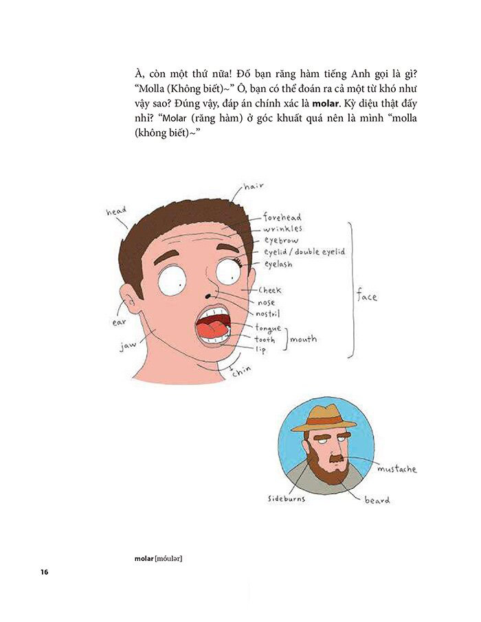 tôi muôn giỏi tiếng anh nhưng tôi không muốn chăm chỉ - Ảnh 12