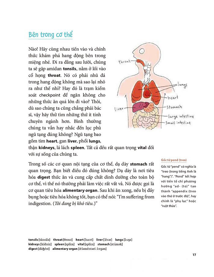 tôi muôn giỏi tiếng anh nhưng tôi không muốn chăm chỉ - Ảnh 13