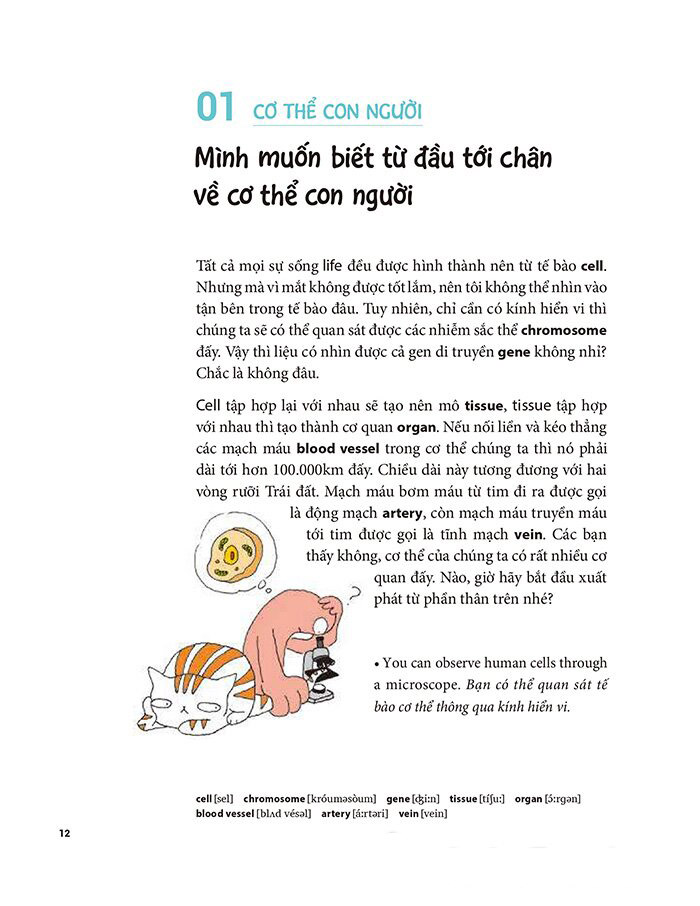 tôi muôn giỏi tiếng anh nhưng tôi không muốn chăm chỉ - Ảnh 8