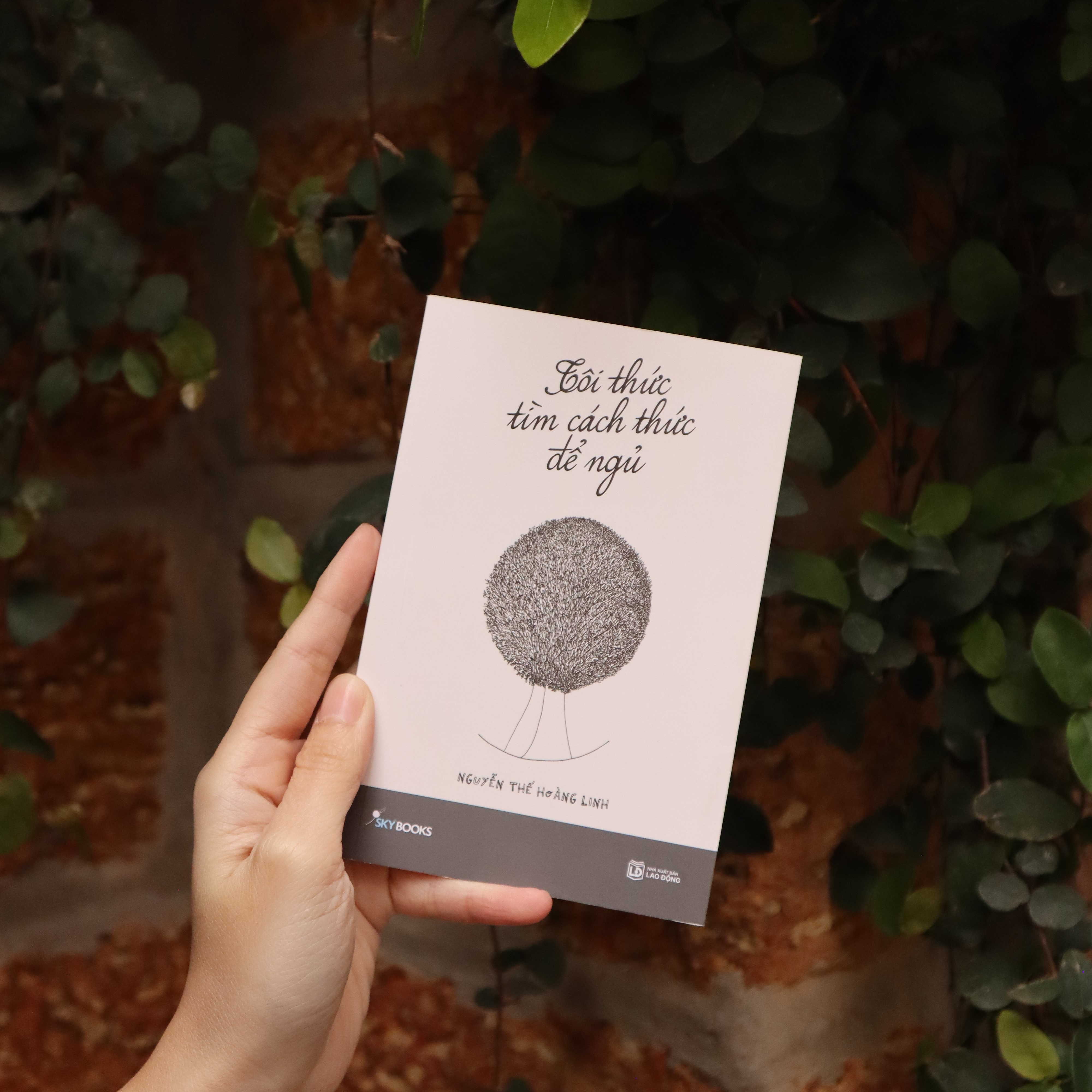 tôi thức tìm cách thức để ngủ - Ảnh 4