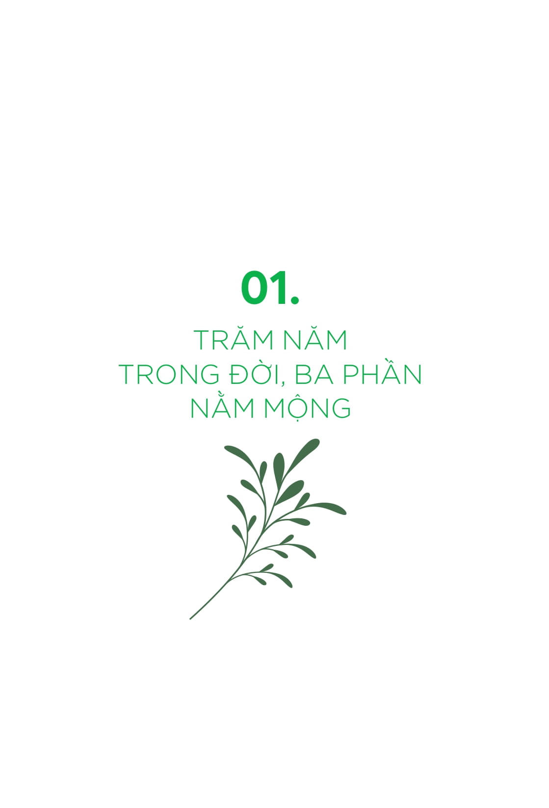tôi tỉnh thức - sống cuộc đời ý nghĩa với trái tim rung động và lòng biết ơn - Ảnh 10