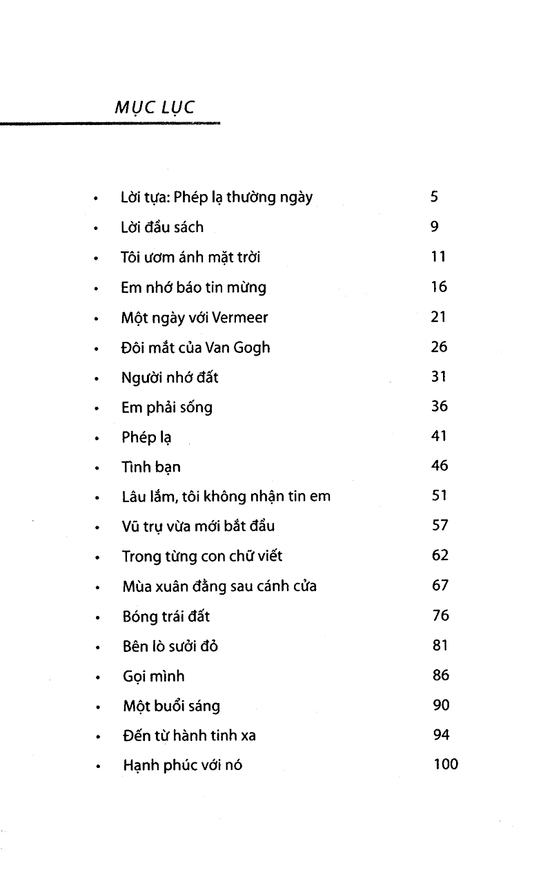 tôi ươm ánh mặt trời - Ảnh 2