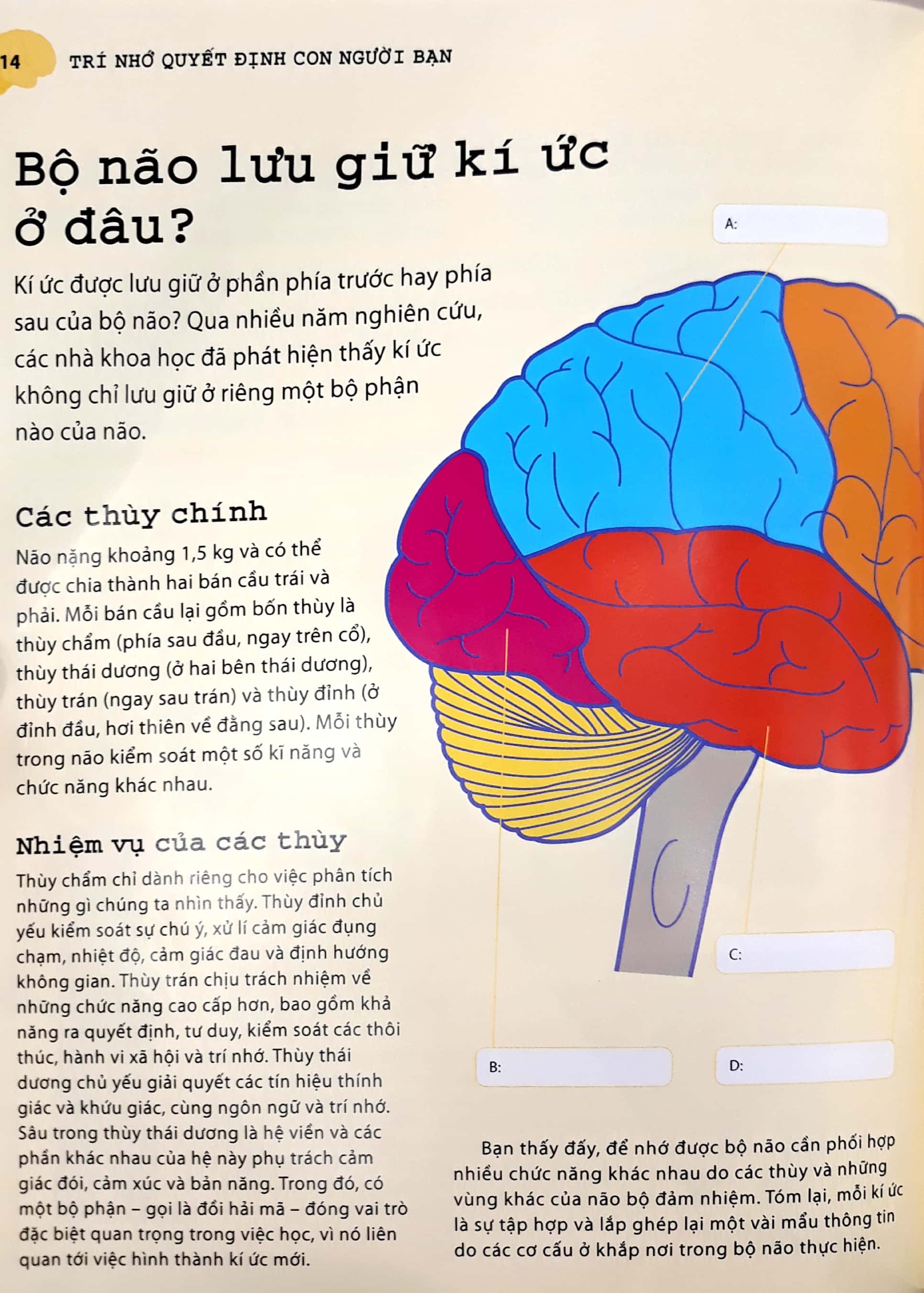 tối ưu hóa trí nhớ bằng phương pháp hình ảnh - Ảnh 10