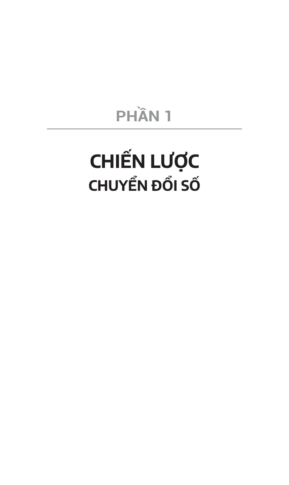 tóm lược chuyển đổi số - chiến lược và lộ trình - Ảnh 16